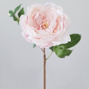 Meet your Posher, Gabby